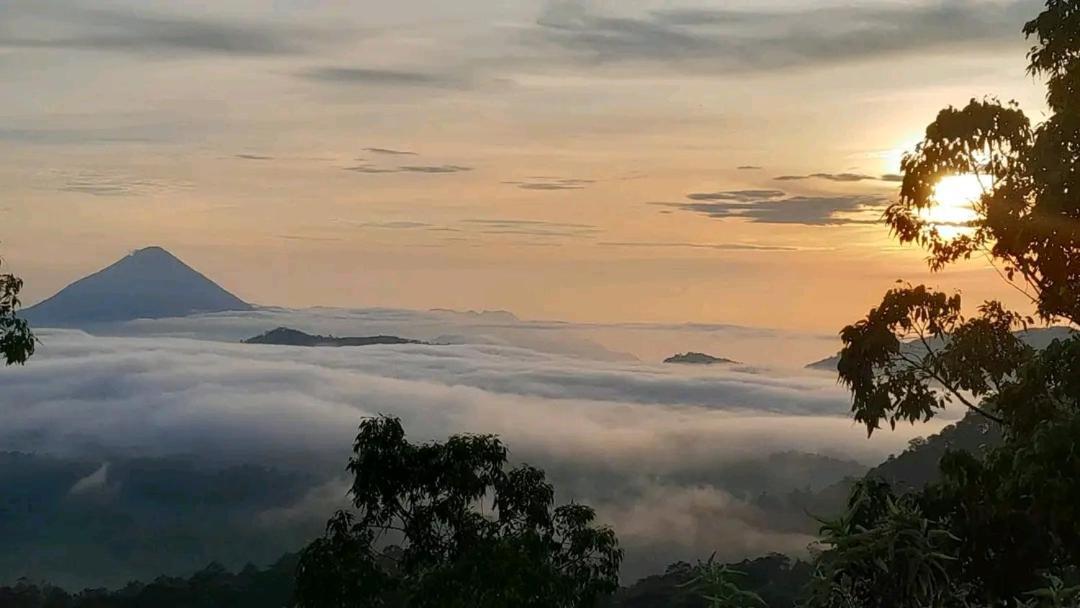 Arnolds Familly Homestay Bajawa ภายนอก รูปภาพ